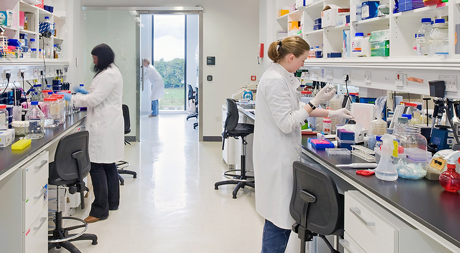 Researchers at work in a lab at Roslin